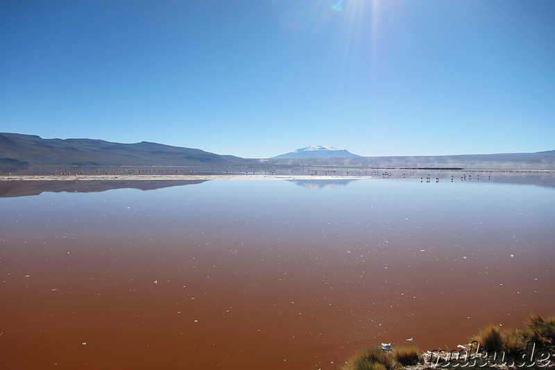 Laguna Colorada, Bolivien