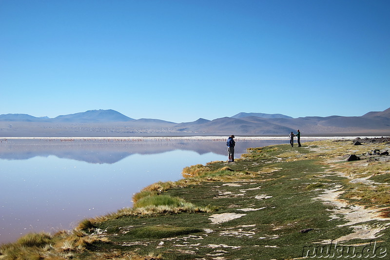 Laguna Colorada, Bolivien