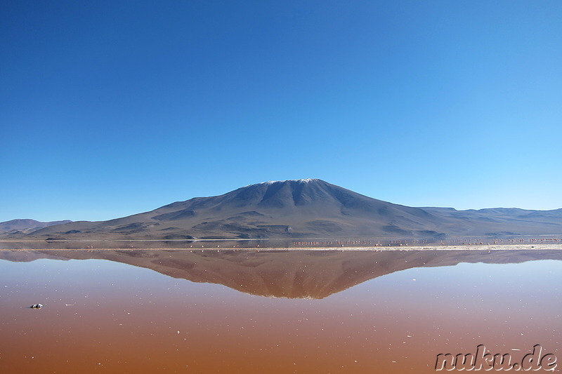 Laguna Colorada, Bolivien