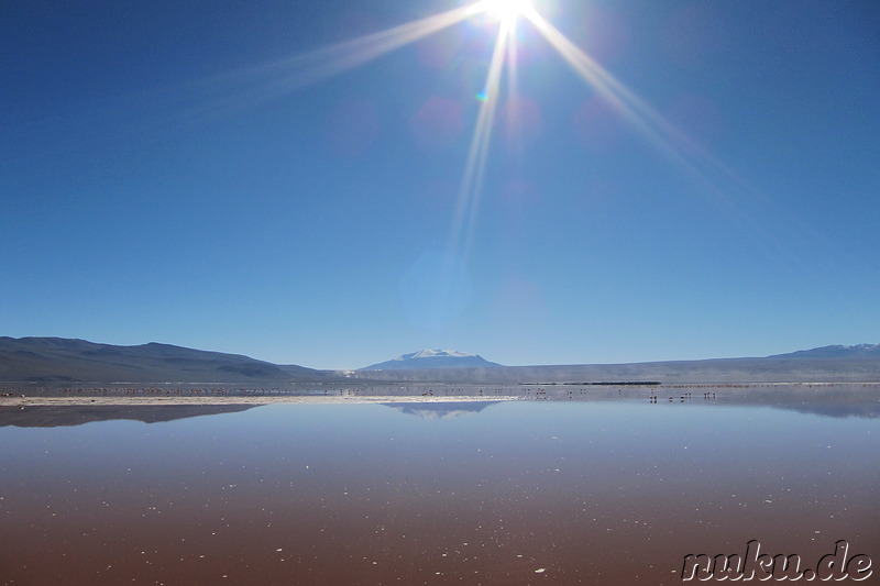 Laguna Colorada, Bolivien