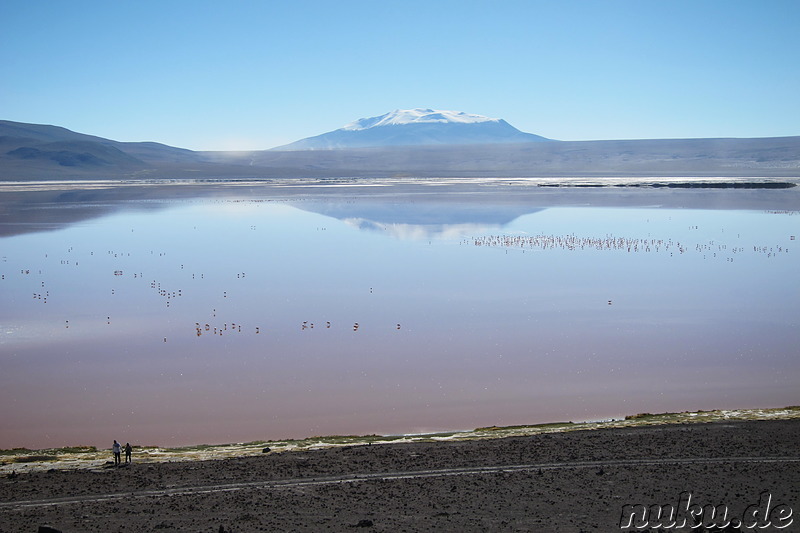 Laguna Colorada, Bolivien