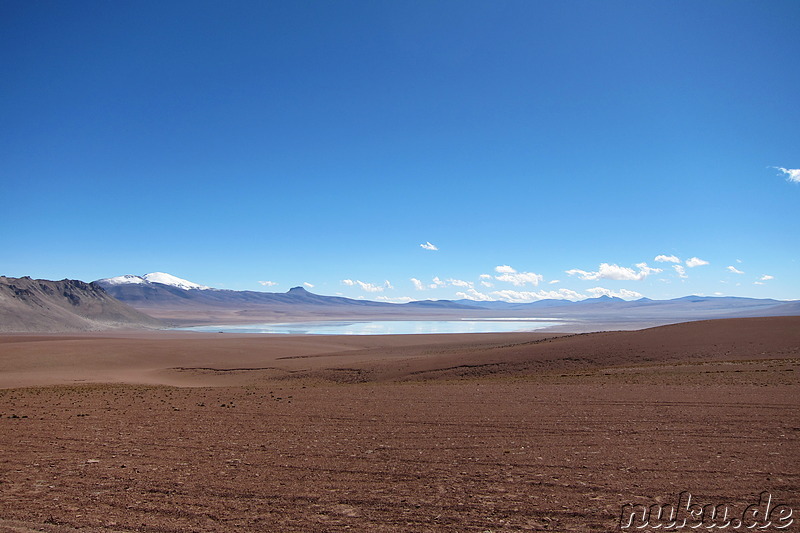 Laguna Honda, Bolivien