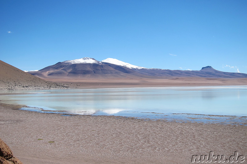 Laguna Honda, Bolivien