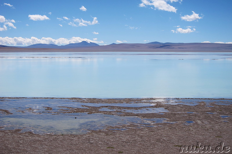 Laguna Honda, Bolivien