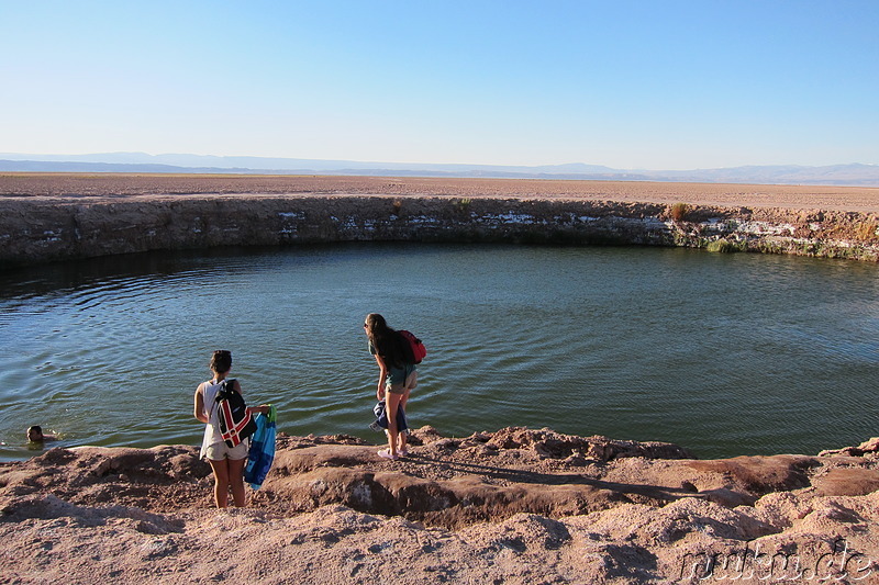 Laguna Ojos del Salar in der Atacamawüste, Chile