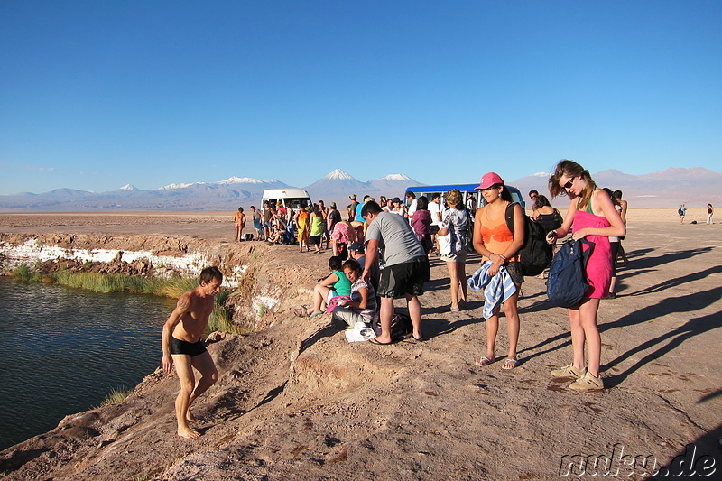 Laguna Ojos del Salar in der Atacamawüste, Chile