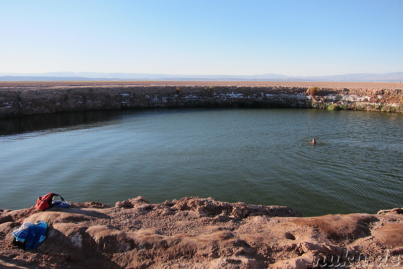 Laguna Ojos del Salar in der Atacamawüste, Chile