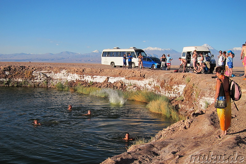 Laguna Ojos del Salar in der Atacamawüste, Chile