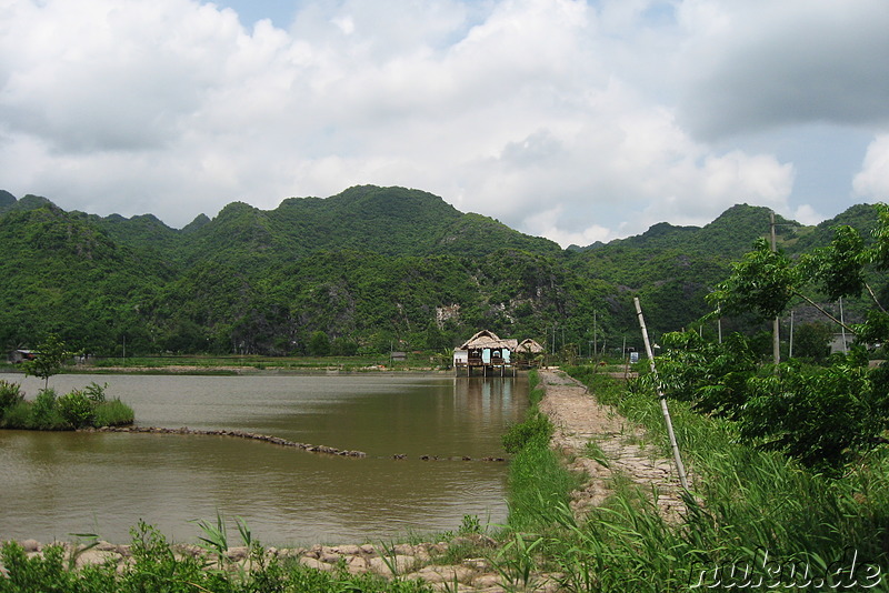 Landschaft auf Cat Ba Island, Vietnam