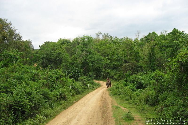 Landschaft in Luang Prabang