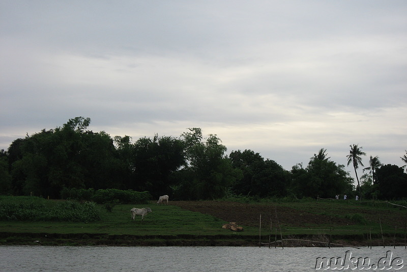 Landschaft, Kambodscha