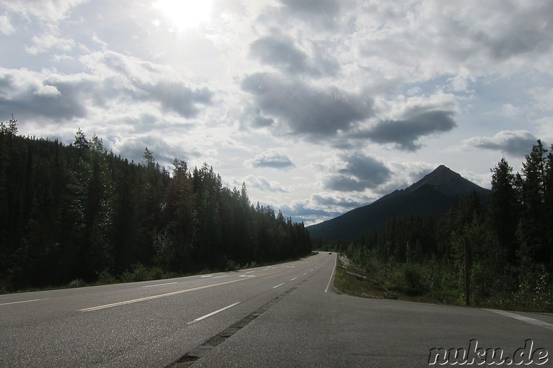 Landstraße bei den Sunwapta Falls im Jasper National Park, Kanada