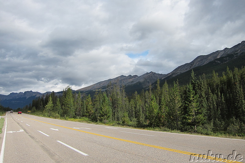 Landstraße bei den Sunwapta Falls im Jasper National Park, Kanada