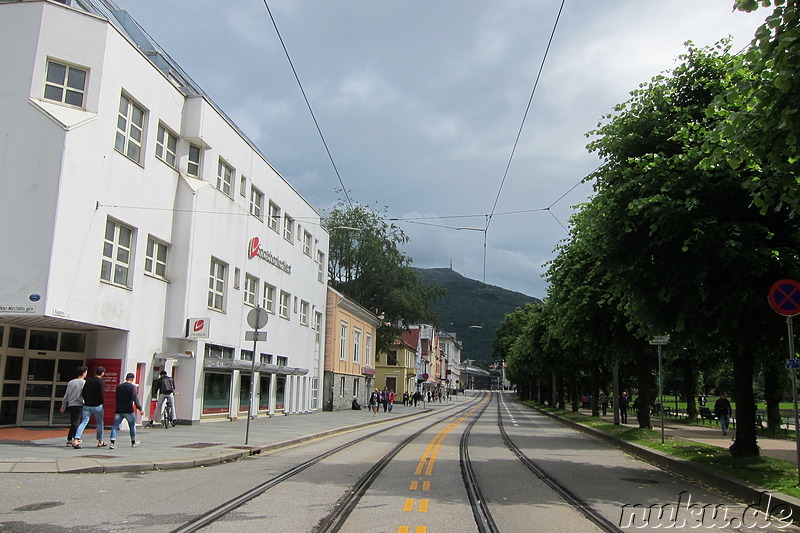 Lille Lungegardsvann - Parkanlage in Bergen, Norwegen