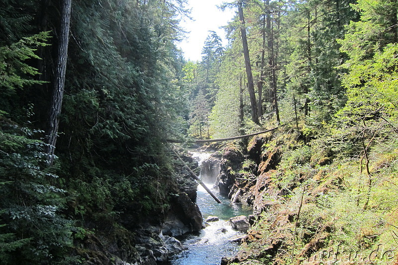 Little Qualicum Falls auf Vancouver Island, Kanada