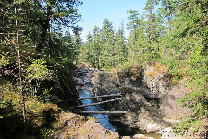 Little Qualicum Falls auf Vancouver Island, Kanada