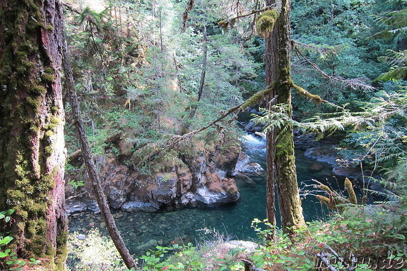 Little Qualicum Falls auf Vancouver Island, Kanada