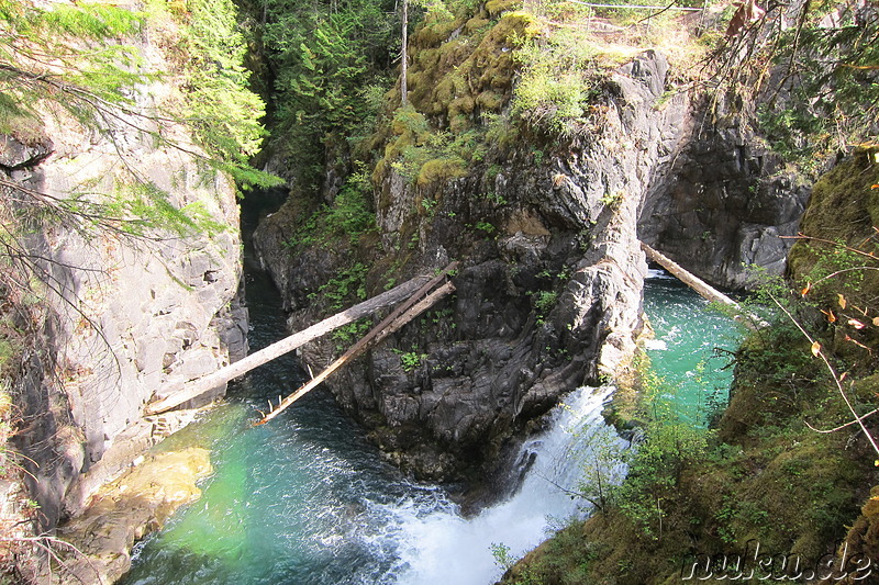 Little Qualicum Falls auf Vancouver Island, Kanada