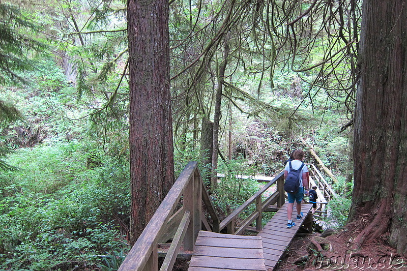 Long Beach Cove - Strand auf Vancouver Island, Kanada