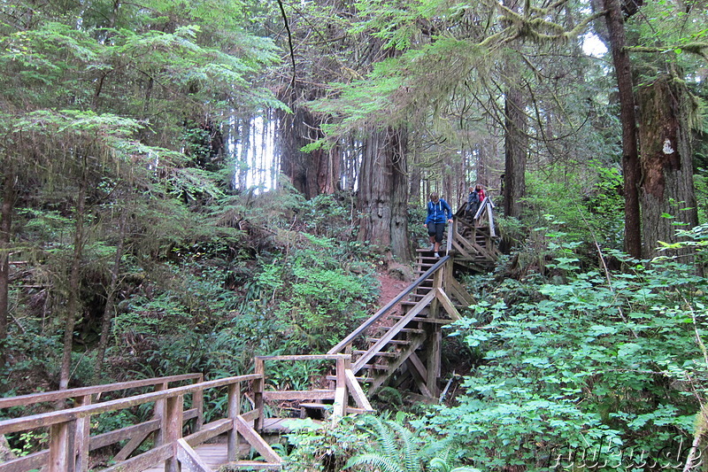 Long Beach Cove - Strand auf Vancouver Island, Kanada