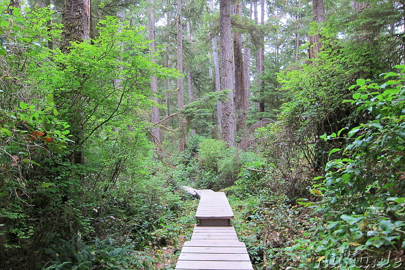 Long Beach Cove - Strand auf Vancouver Island, Kanada