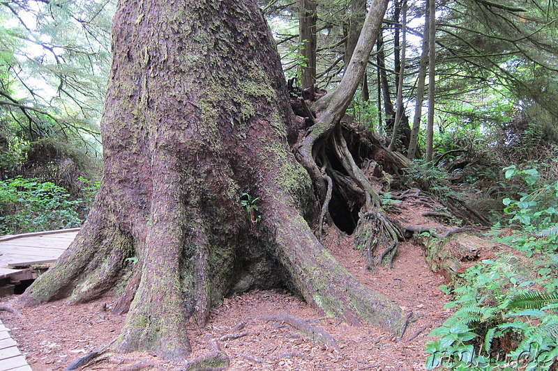 Long Beach Cove - Strand auf Vancouver Island, Kanada