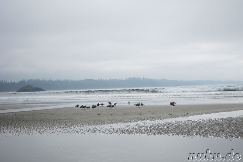 Long Beach Cove - Strand auf Vancouver Island, Kanada