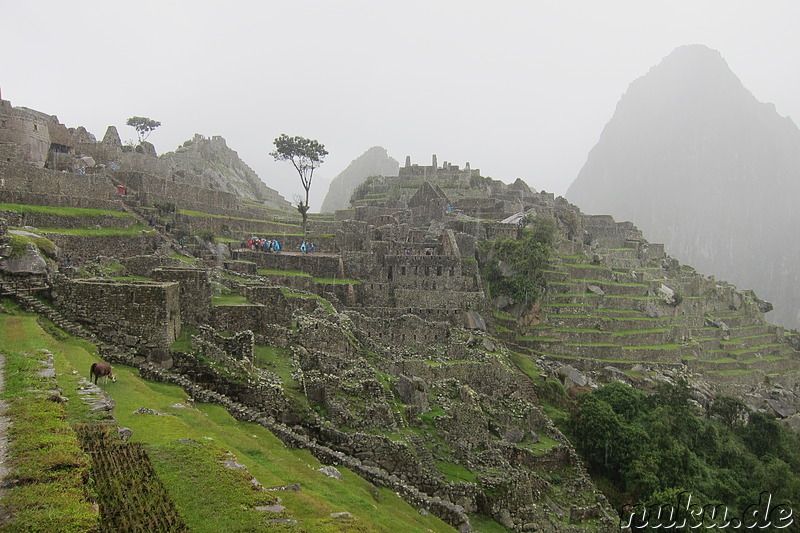 Machu Picchu, Peru