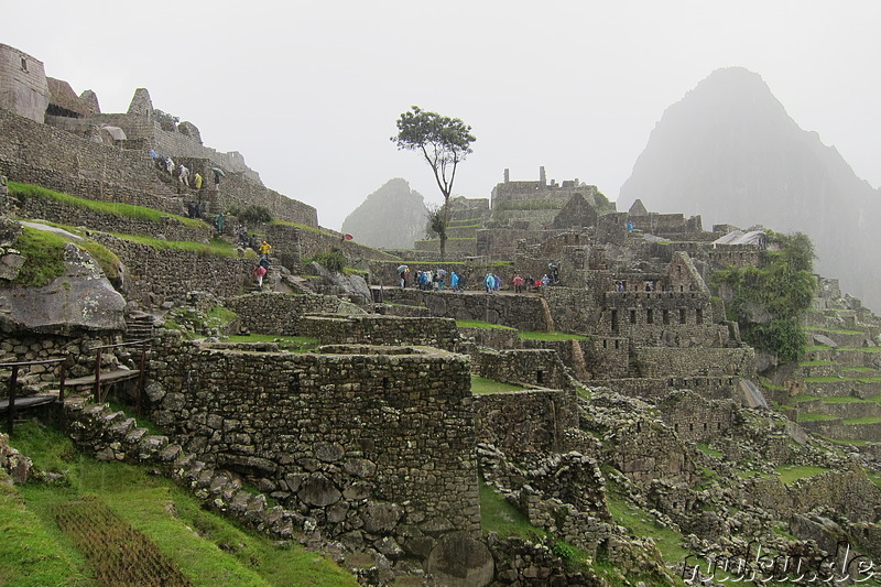 Machu Picchu, Peru