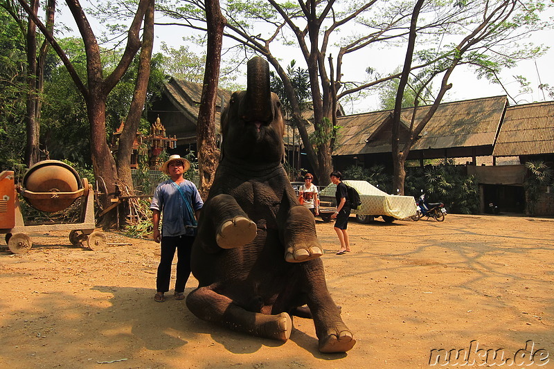 Maetang Elephant Park, Chiang Mai, Thailand