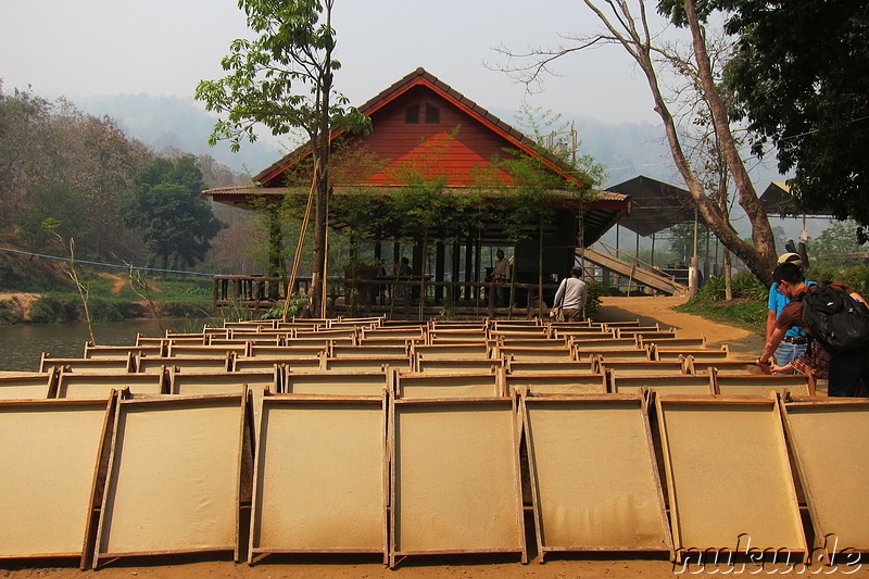 Maetang Elephant Park, Chiang Mai, Thailand