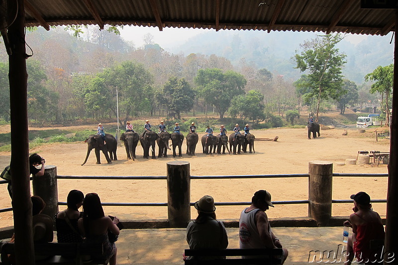 Maetang Elephant Park, Chiang Mai, Thailand