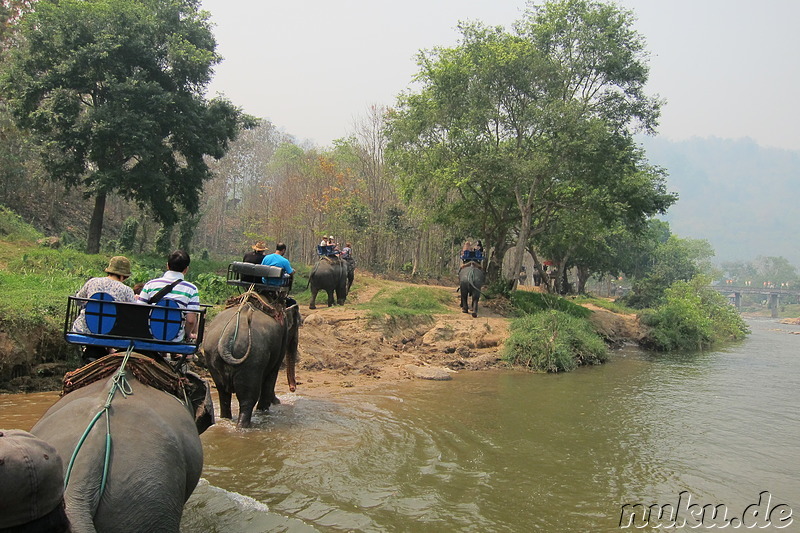 Maetang Elephant Park, Chiang Mai, Thailand