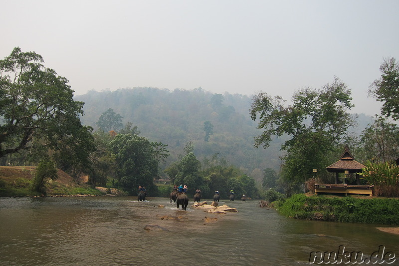 Maetang Elephant Park, Chiang Mai, Thailand