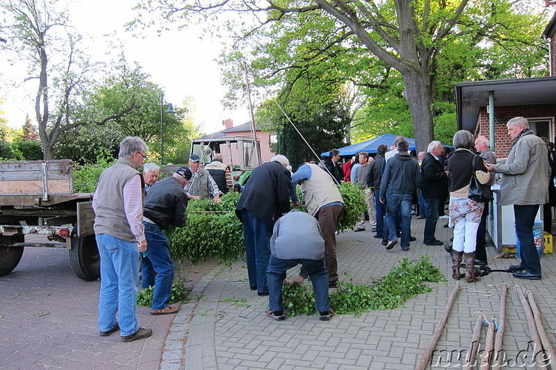 Maibaumaufstellen in Wulfsen