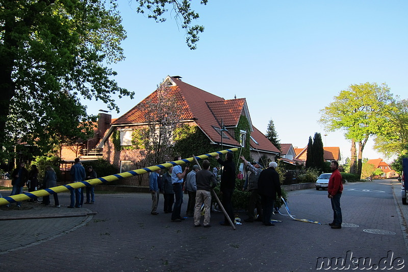 Maibaumaufstellen in Wulfsen