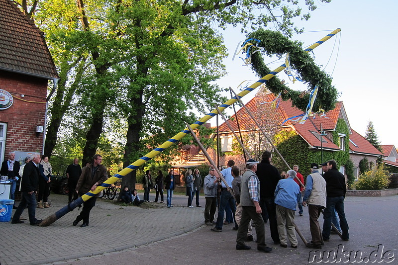 Maibaumaufstellen in Wulfsen