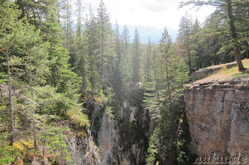 Maligne Canyon im Jasper National Park, Kanada