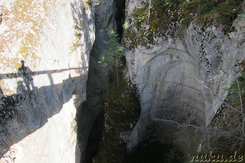 Maligne Canyon im Jasper National Park, Kanada