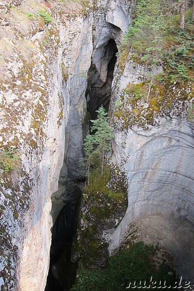 Maligne Canyon im Jasper National Park, Kanada