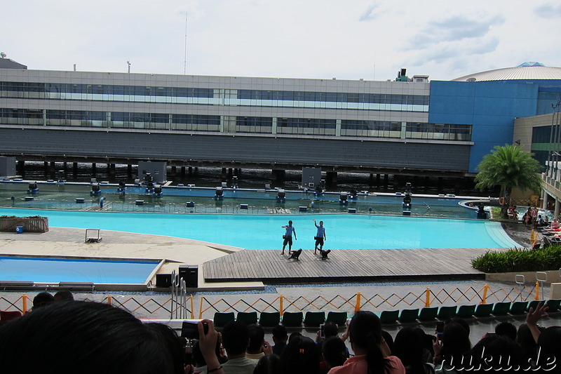 Manila Ocean Park in Manila, Philippinen