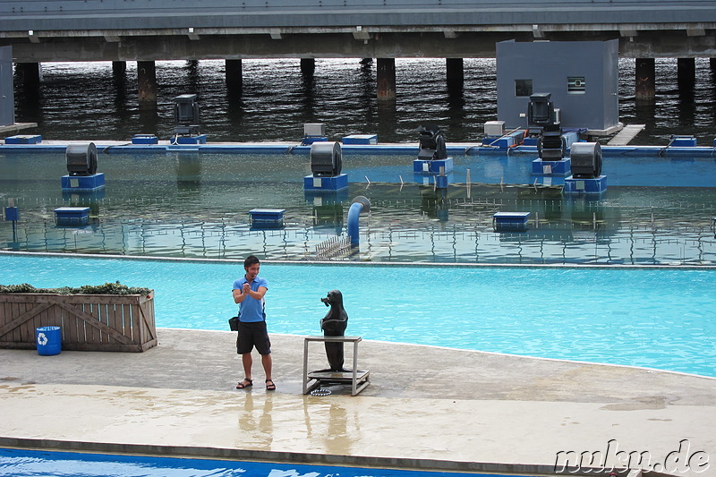 Manila Ocean Park in Manila, Philippinen