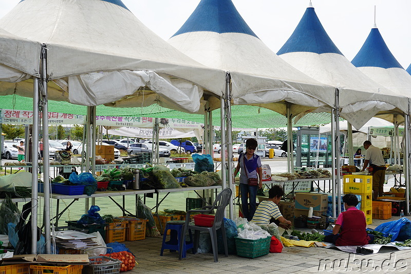 Markt in Jeongseojin (정서진), Incheon