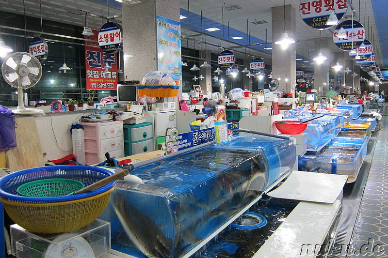 Markthalle - Fischmarkt in Yeosu, Jeollanamdo, Korea