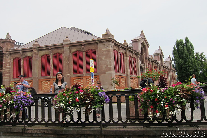 Markthalle in Colmar