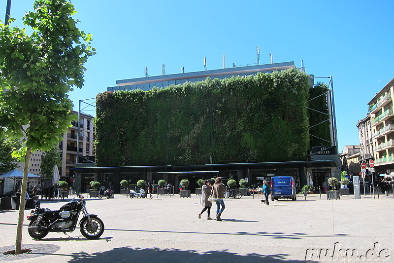 Markthalle Les Halles in Avignon, Frankreich