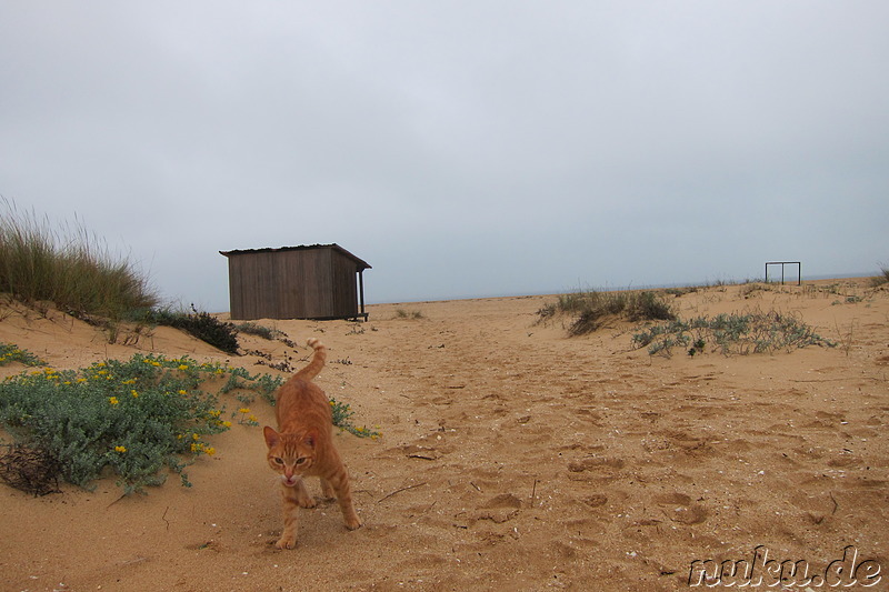 Meia Praia - Strand in Lagos, Portugal