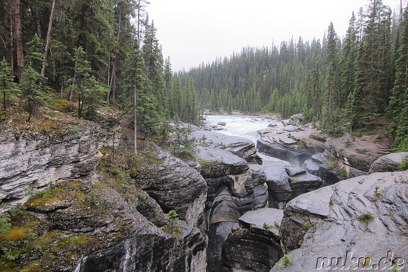 Mistaya Canyon im Banff National Park, Kanada