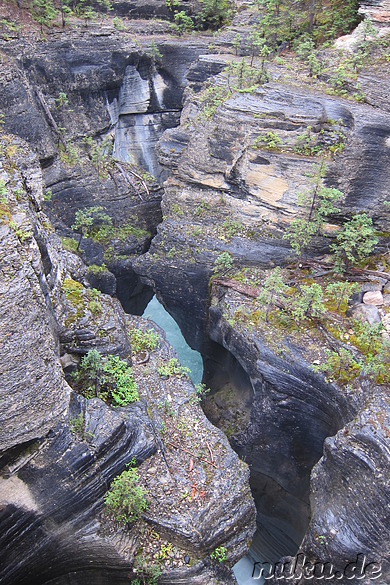 Mistaya Canyon im Banff National Park, Kanada