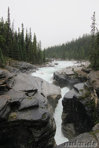 Mistaya Canyon im Banff National Park, Kanada